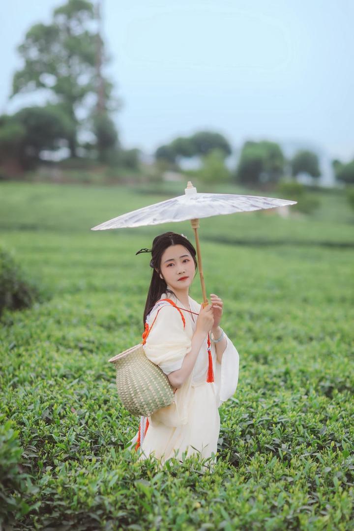 一袭白衣的采茶女古装美女图片集